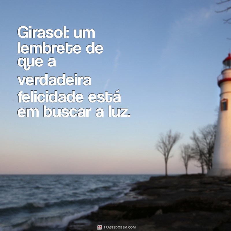 Frases Inspiradoras sobre Girassóis: Beleza e Simbolismo em Palavras 