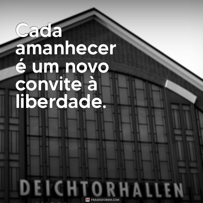 As Melhores Frases sobre Liberdade para Inspirar suas Fotos 