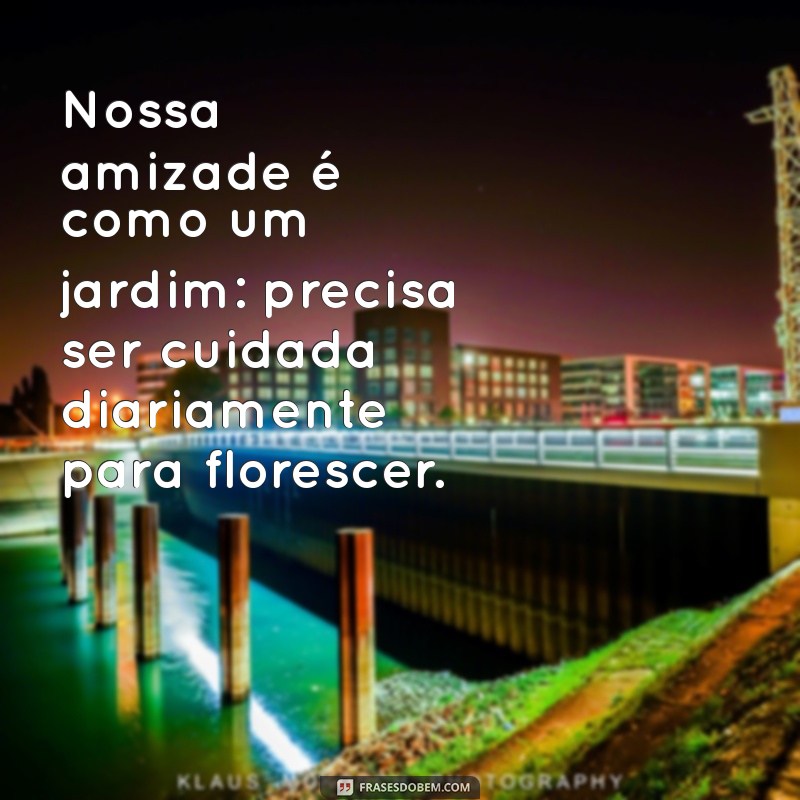 As Melhores Frases para Celebrar a Amizade em Grupo 