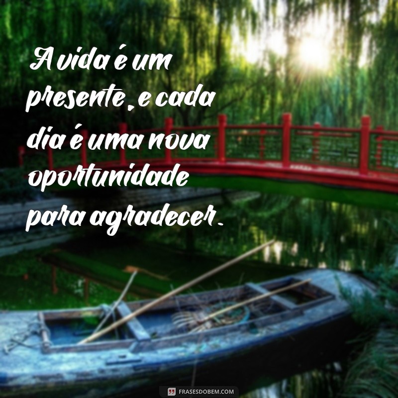 mensagem de vida e gratidão A vida é um presente, e cada dia é uma nova oportunidade para agradecer.