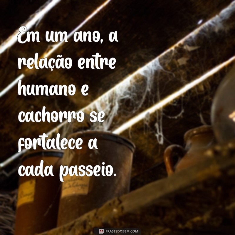 Entenda Como Um Ano na Vida do Seu Cachorro Equivale a Sete Anos Humanos 