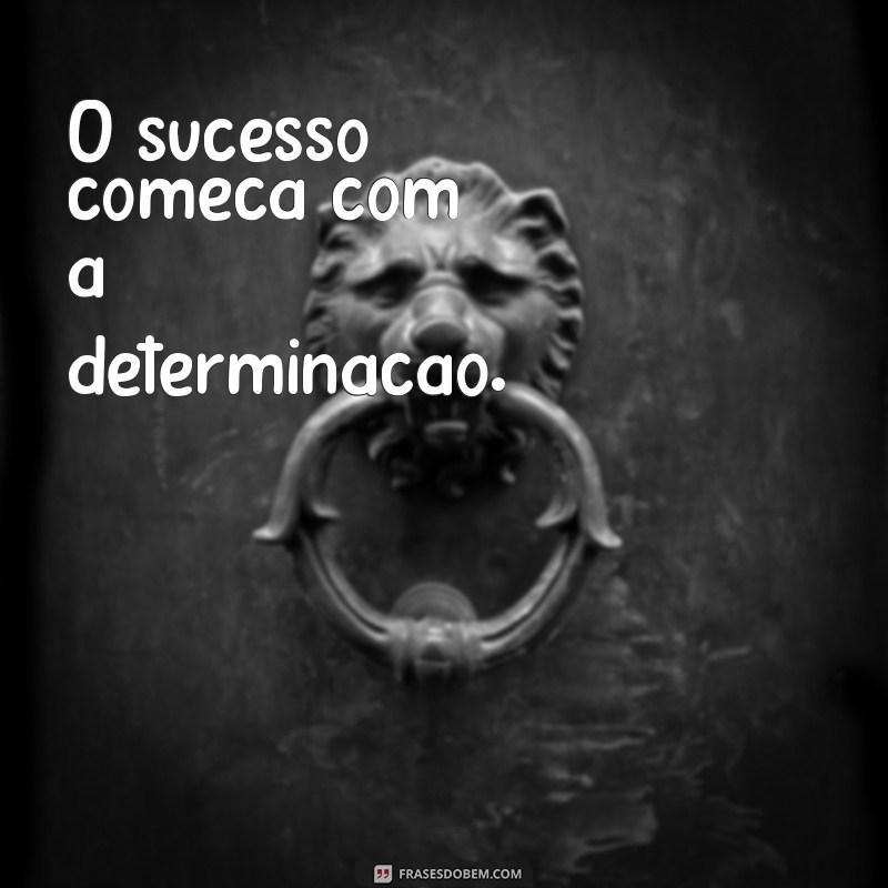 frases curta de sucesso O sucesso começa com a determinação.