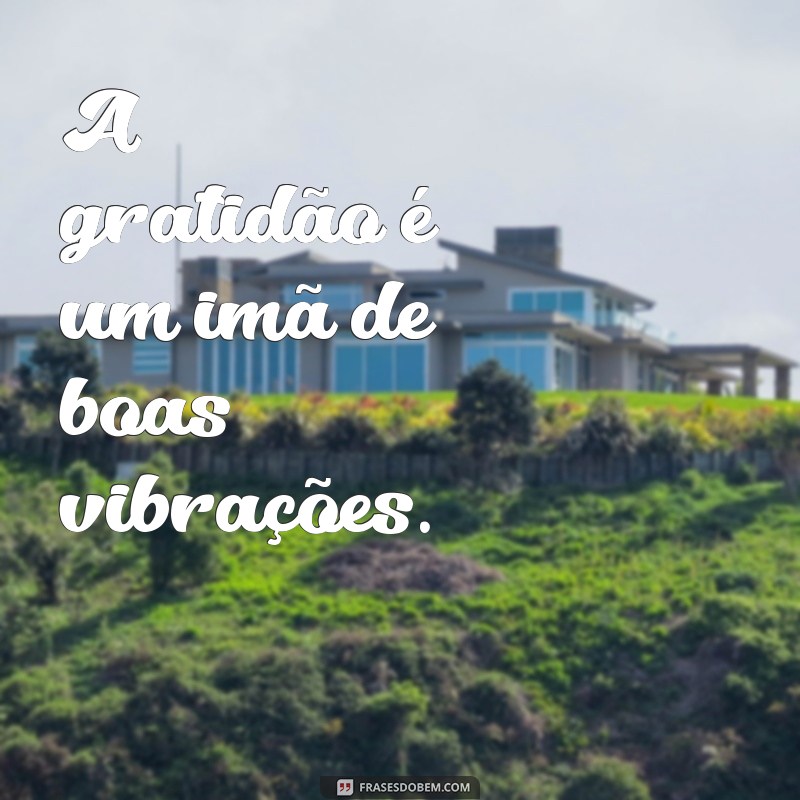 Frases Curtas de Agradecimento: Inspire-se com Nossas Melhores Opções 