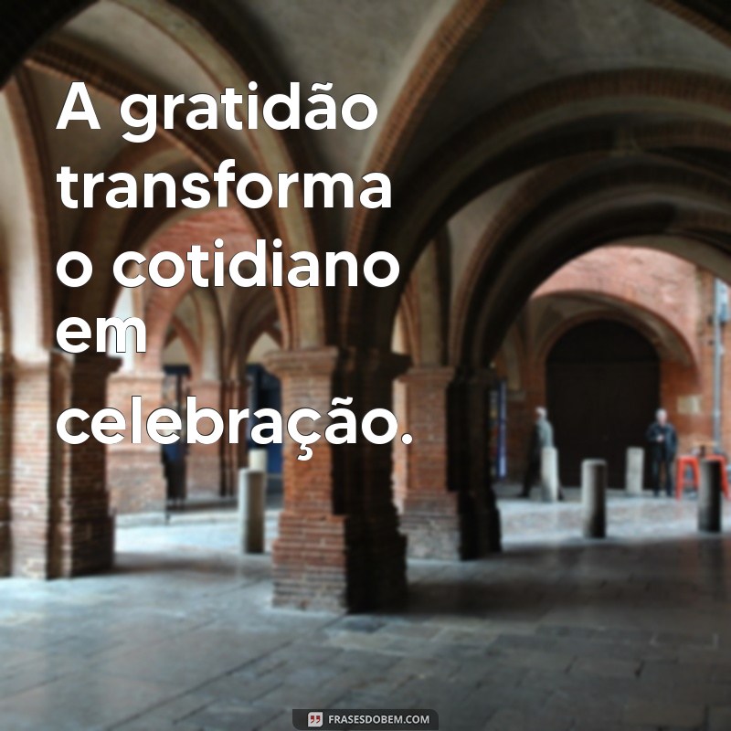 agradecer sempre frases curtas A gratidão transforma o cotidiano em celebração.