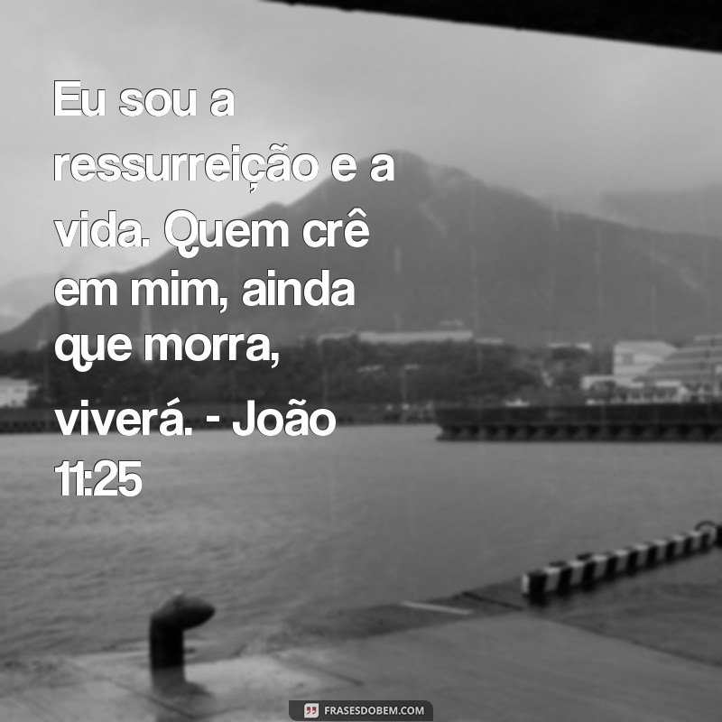 Reflexões em tempos de luto: 20 frases inspiradoras baseadas em versículos bíblicos 