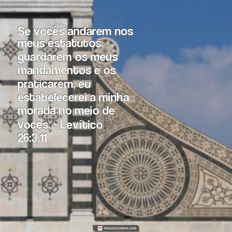 Reflexões em tempos de luto: 20 frases inspiradoras baseadas em versículos bíblicos 