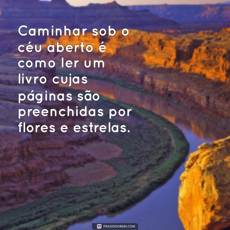 Frases Inspiradoras para Conectar-se com a Natureza e Revitalizar sua Alma 