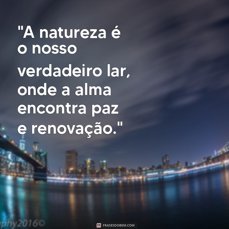 frases contato com a natureza 