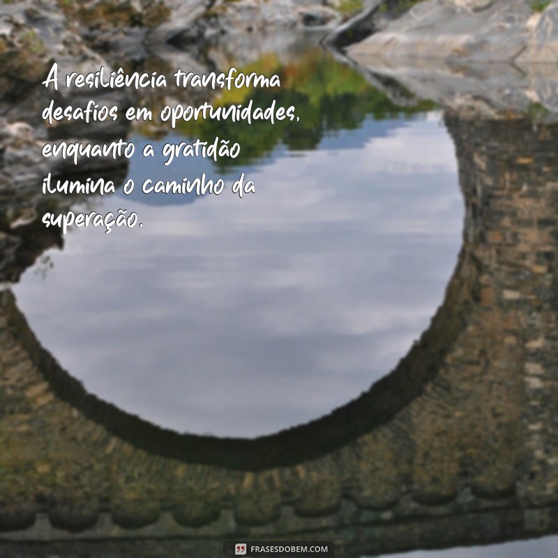 frases de resiliência é gratidão A resiliência transforma desafios em oportunidades, enquanto a gratidão ilumina o caminho da superação.