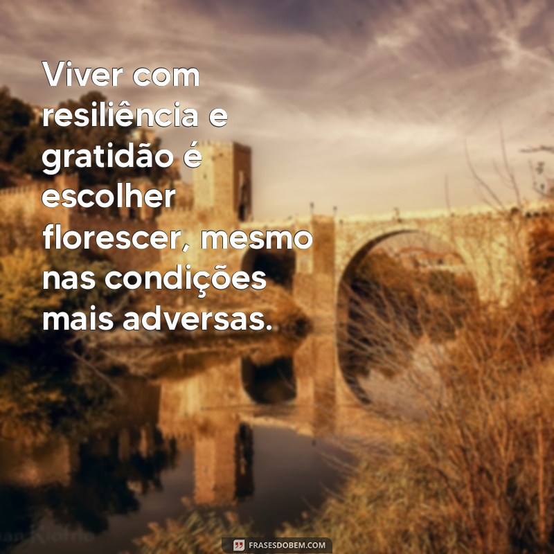 Frases Inspiradoras sobre Resiliência e Gratidão para Transformar sua Vida 