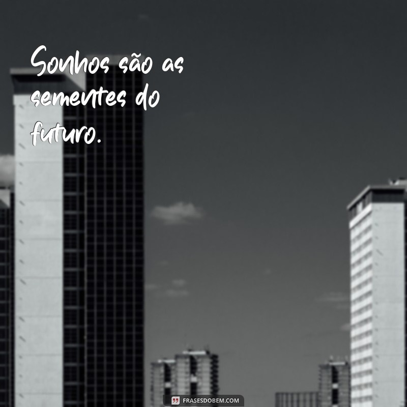 frases de sonhos curtas Sonhos são as sementes do futuro.