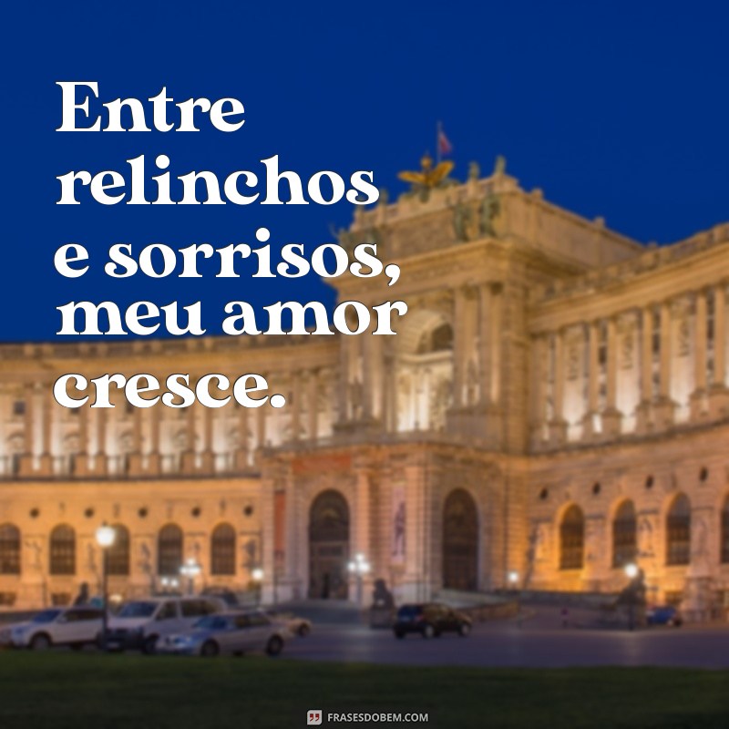 Frases Curtas de Amor por Cavalos: Declare seu Afeto de Forma Poética 