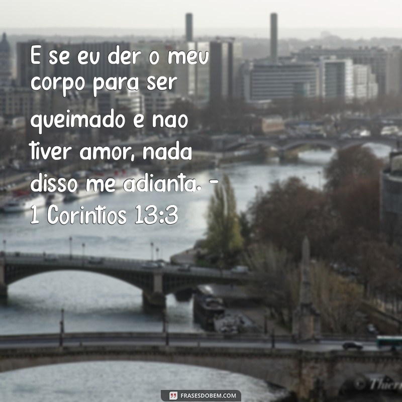 Descubra Frases Inspiradoras da Bíblia Sobre o Amor 