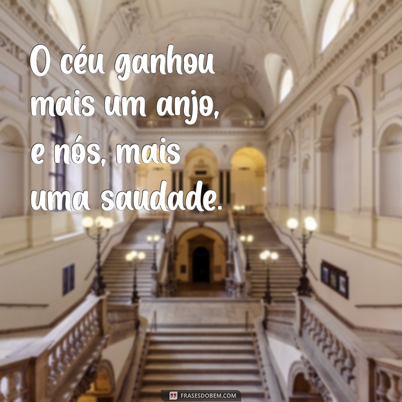 Frases Confortantes para Lembrar um Anjinho que Partiu 