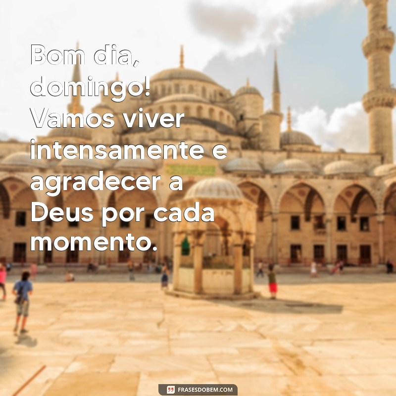 Bom Dia Domingo: Cultivando a Gratidão a Deus para um Início de Semana Inspirador 