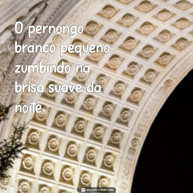 pernilongo branco pequeno O pernongo branco pequeno zumbindo na brisa suave da noite.