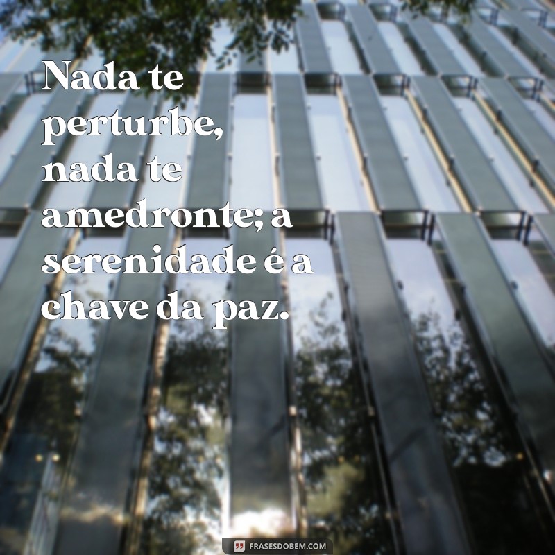 nada te perturbe nada te amedronte Nada te perturbe, nada te amedronte; a serenidade é a chave da paz.