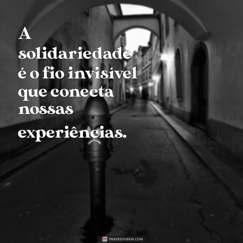 22 Frases Inspiradoras sobre Solidariedade para Refletir e Compartilhar 