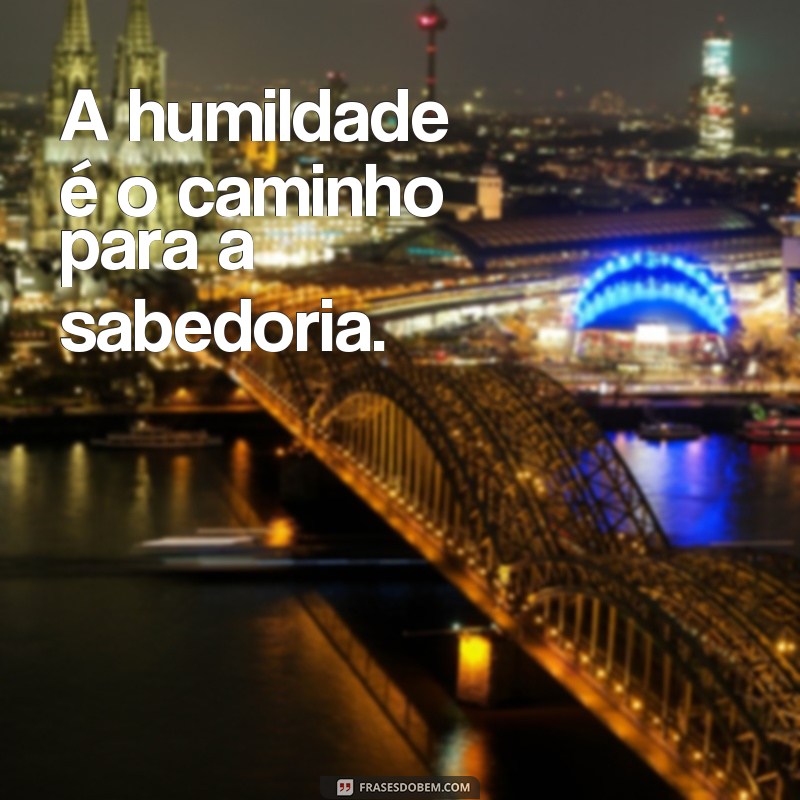 Descubra as melhores frases de sabedoria masculina para inspirar sua vida 