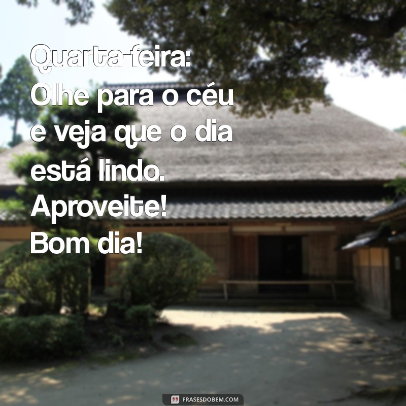 Mensagem Inspiradora de Bom Dia para Quarta-feira: Renove suas Energias! 