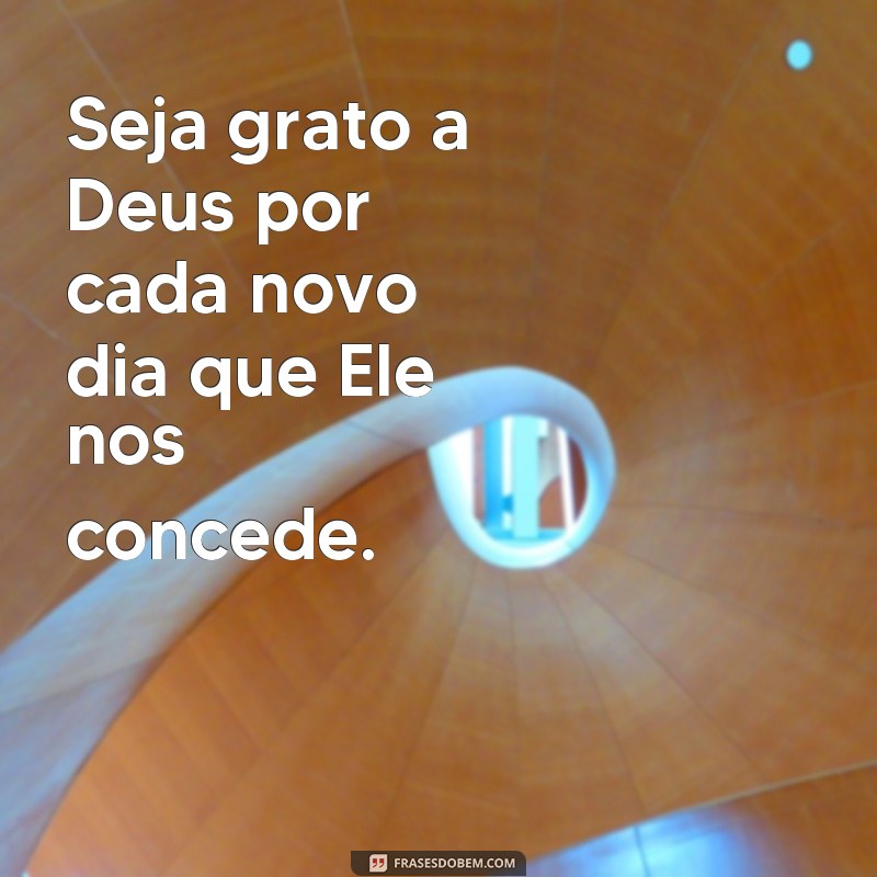 frases seja grato a Deus por tudo Seja grato a Deus por cada novo dia que Ele nos concede.