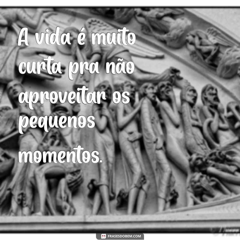 Por Que a Vida é Curta: Aprenda a Valorizar Cada Momento 