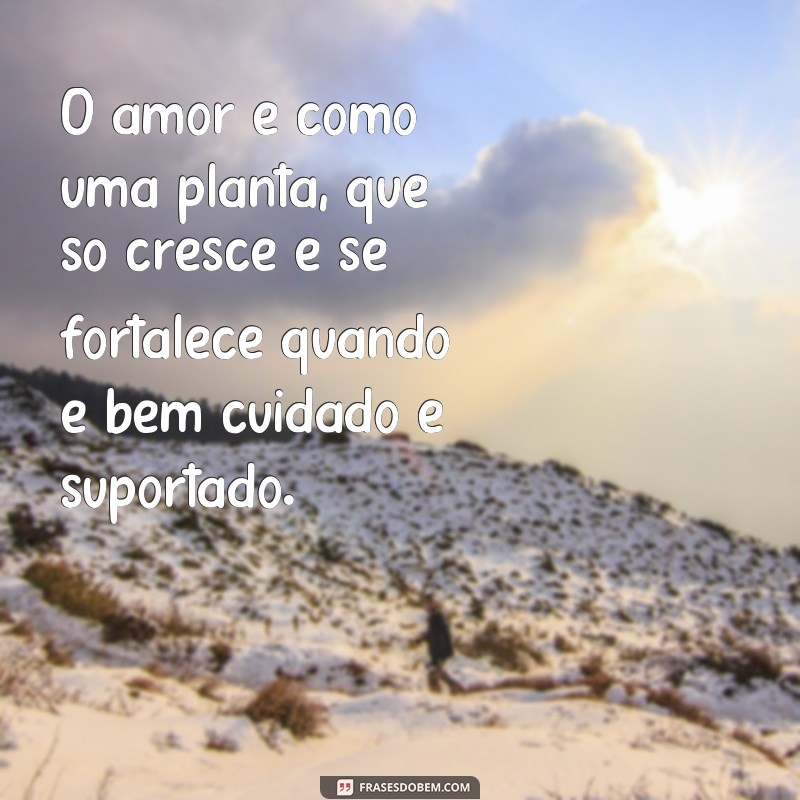 Descubra as mais belas frases de amor que tudo crê e tudo suporta 