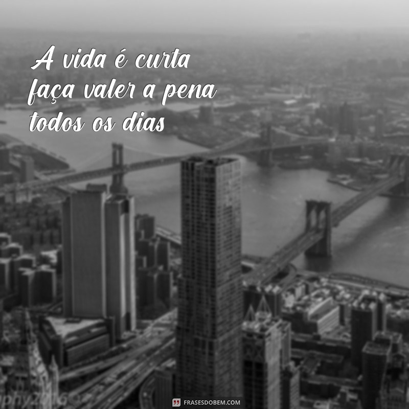 Frases Inspiradoras de Atitude para Transformar Sua Vida 