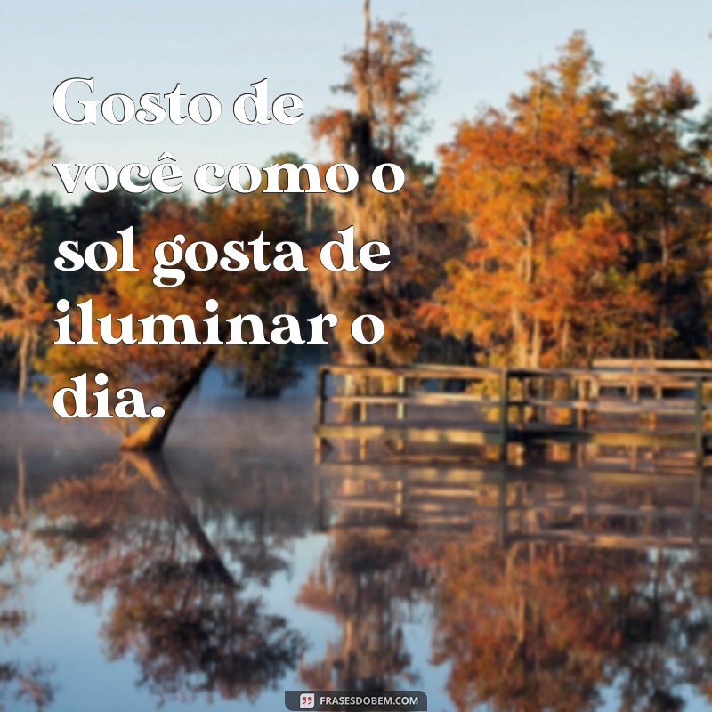 gosto de vc Gosto de você como o sol gosta de iluminar o dia.