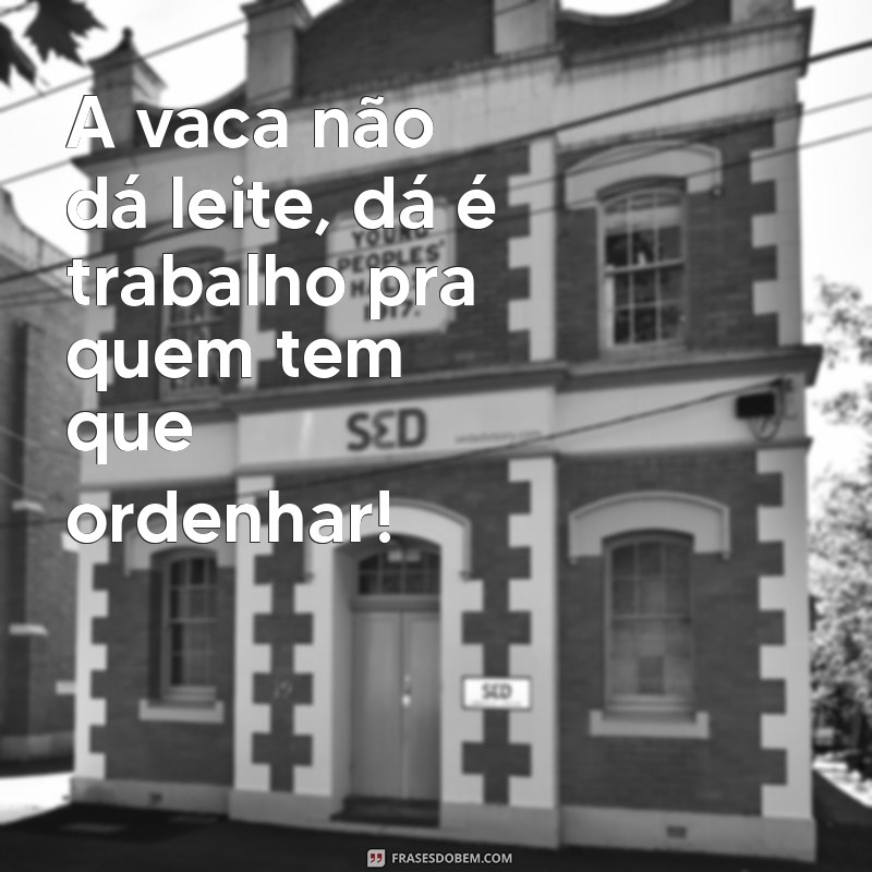 frases da roça engraçadas A vaca não dá leite, dá é trabalho pra quem tem que ordenhar!