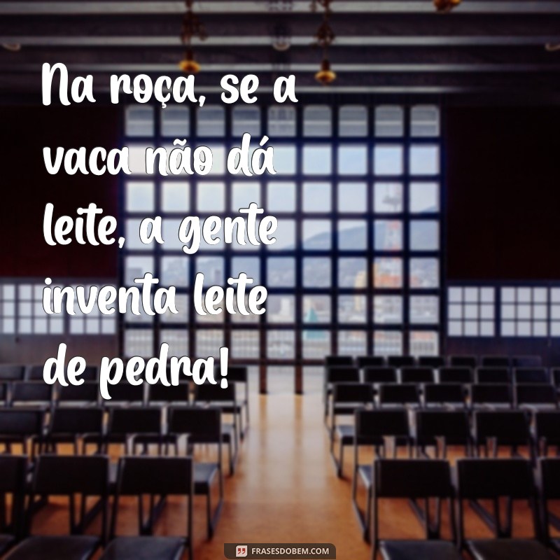 30 Frases Engraçadas da Roça que Vão Fazer Você Rir 