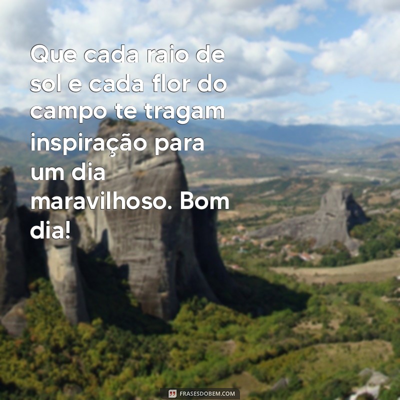 Mensagens Inspiradoras de Bom Dia com Flores do Campo para Iluminar Seu Dia 