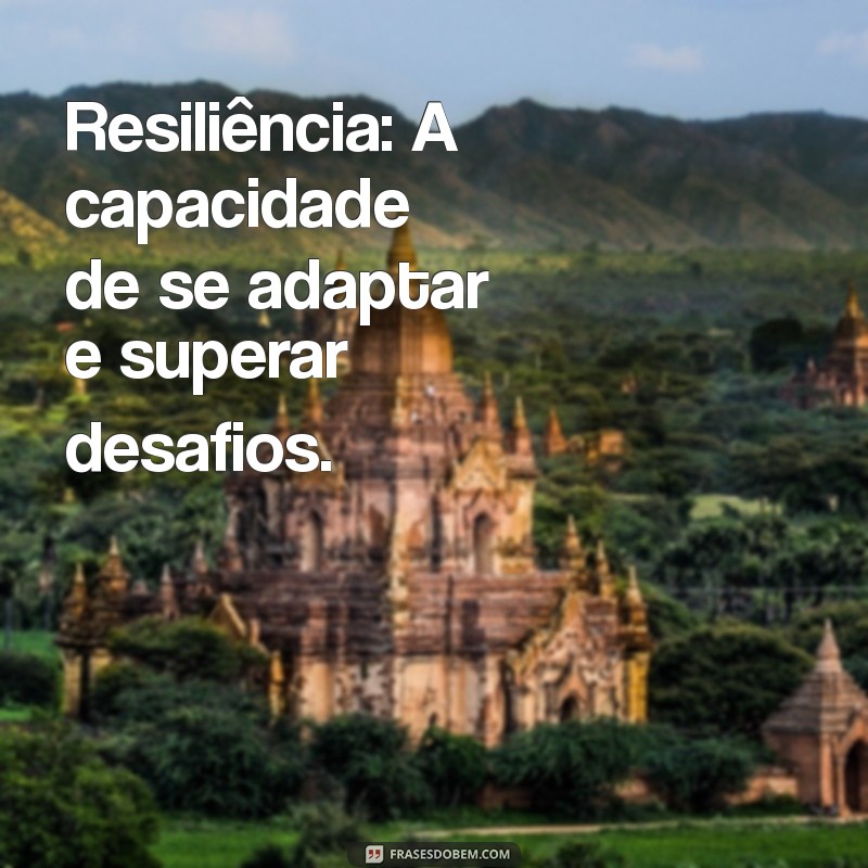 palavra do dia para mim Resiliência: A capacidade de se adaptar e superar desafios.