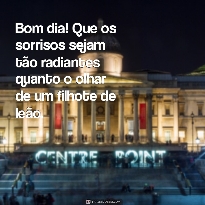 bom dia com animais lindos Bom dia! Que os sorrisos sejam tão radiantes quanto o olhar de um filhote de leão.