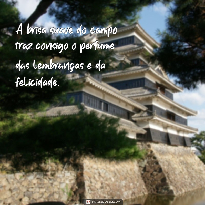 Frases Inspiradoras para Celebrar Paisagens Lindas 