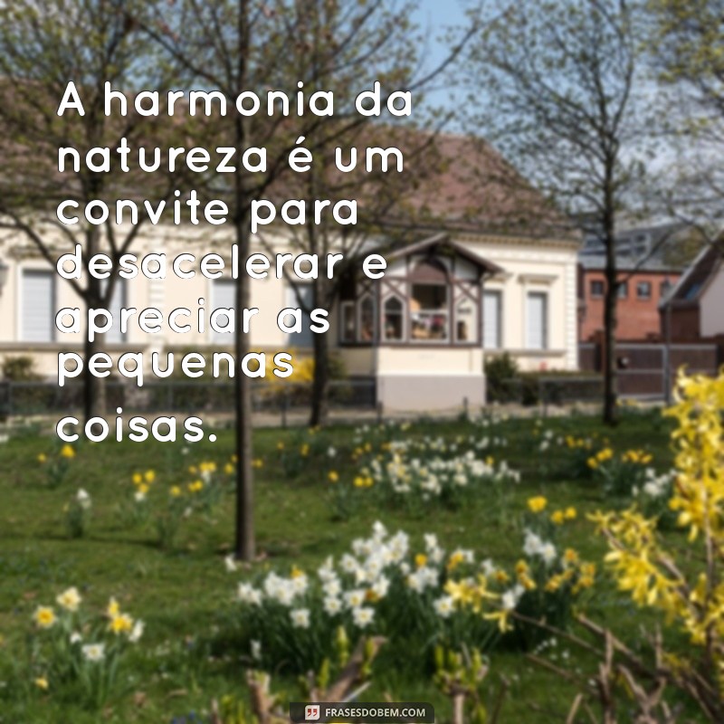 Frases Inspiradoras para Celebrar Paisagens Lindas 