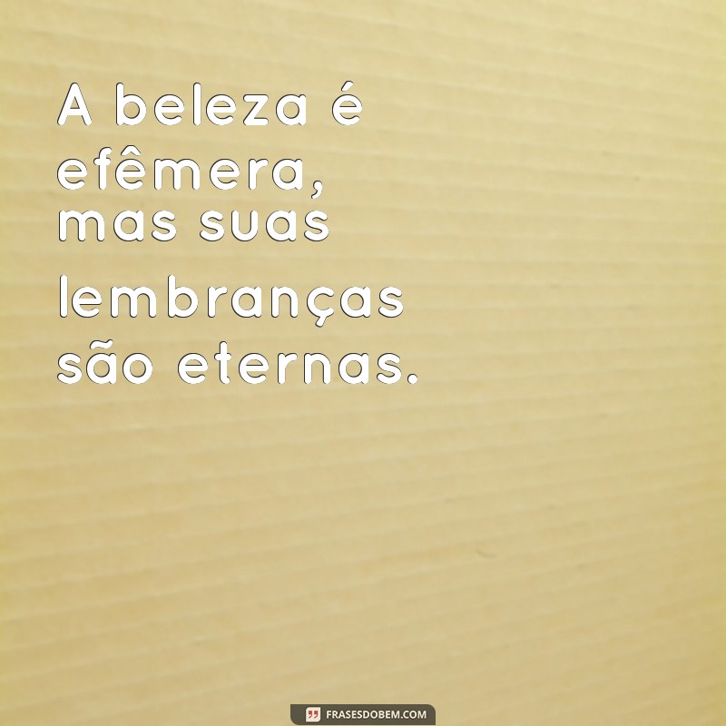 Descubra as melhores frases para relaxar e realçar sua beleza 