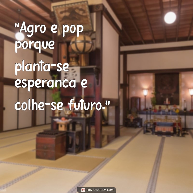 frases agro é pop 