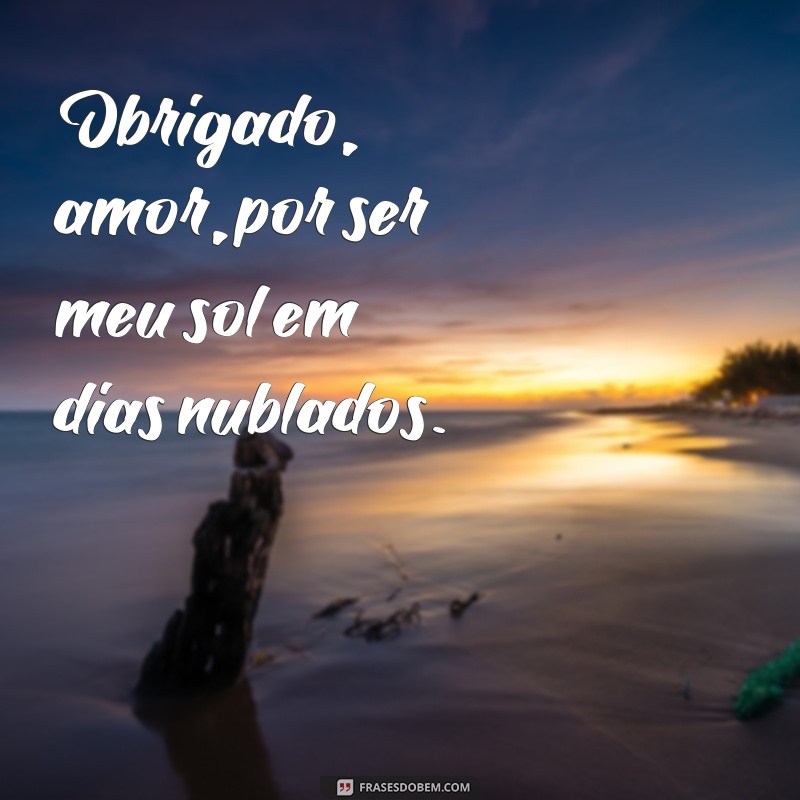 obrigado amor Obrigado, amor, por ser meu sol em dias nublados.