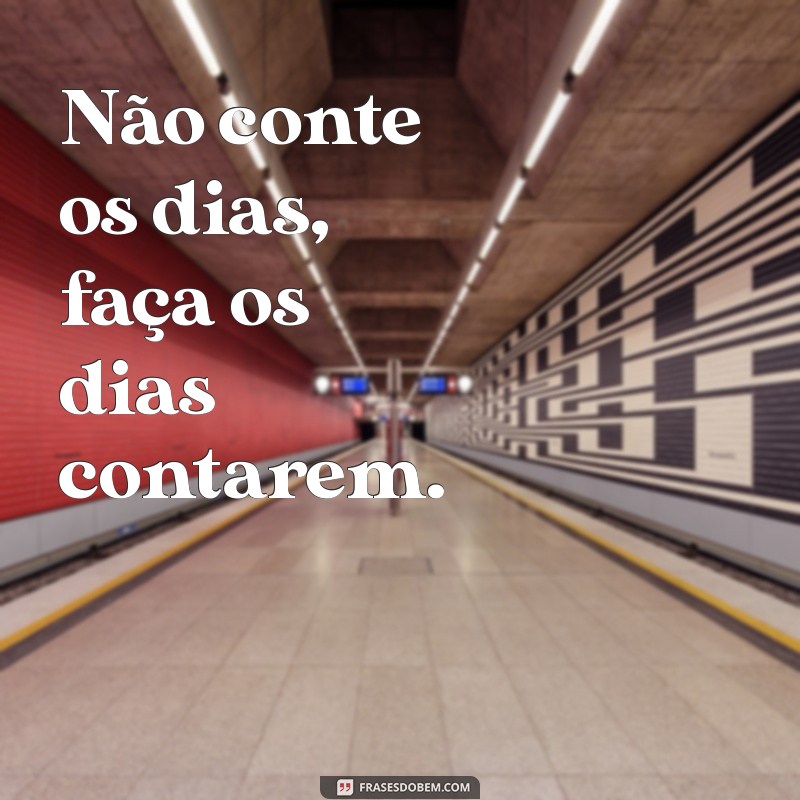 Frases Inspiradoras de Academia no Estilo Tumblr para Motivar Seu Treino 