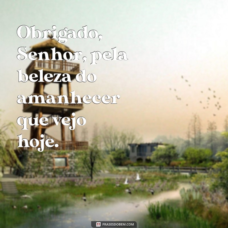 Gratidão ao Senhor: Como Apreciar Cada Amanhecer 