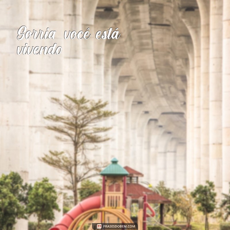 Frases Curtas e Impactantes para Suas Fotos: Inspire-se! 