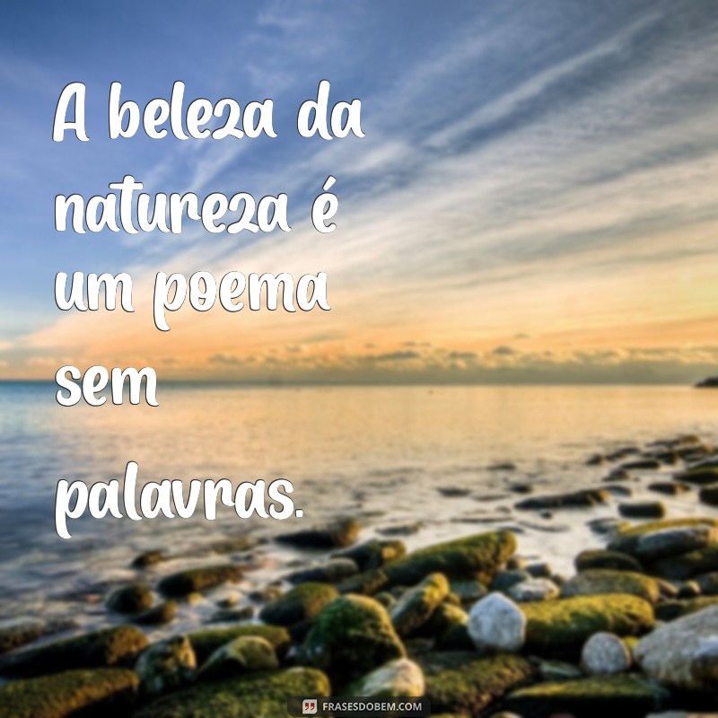 paisagem frases curtas A beleza da natureza é um poema sem palavras.