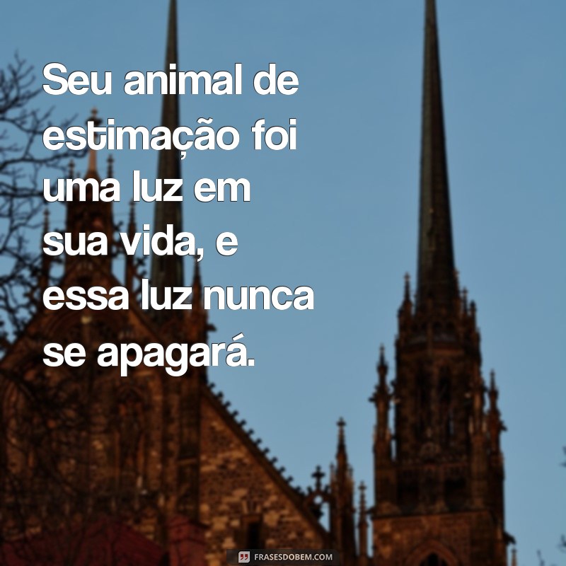 Encontre conforto nas melhores frases para quem perdeu um animal de estimação 