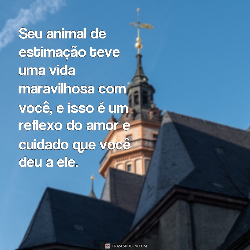 Encontre conforto nas melhores frases para quem perdeu um animal de estimação 