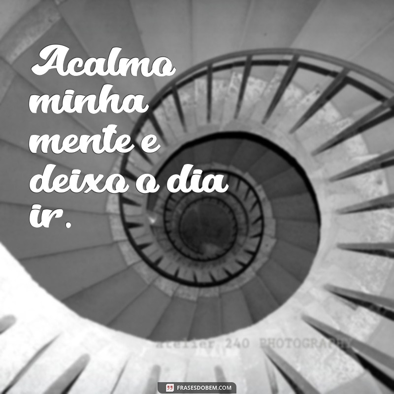 mantra para dormir Acalmo minha mente e deixo o dia ir.