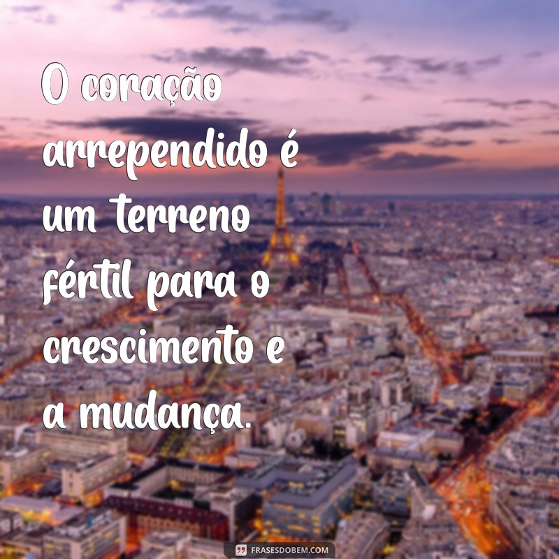 Os Melhores Versículos Bíblicos Sobre Arrependimento: Reflexões e Inspirações 