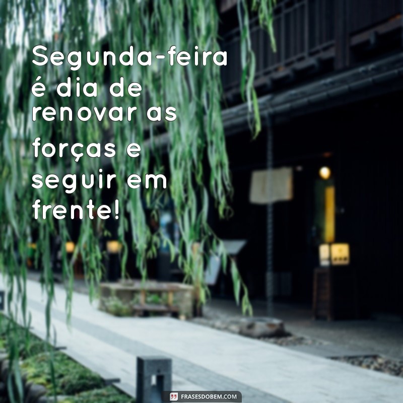 Frases Inspiradoras de Bom Dia para Começar sua Segunda com Energia 