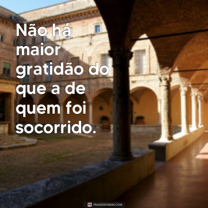 Descubra as melhores frases de socorristas para usar em seu status! 