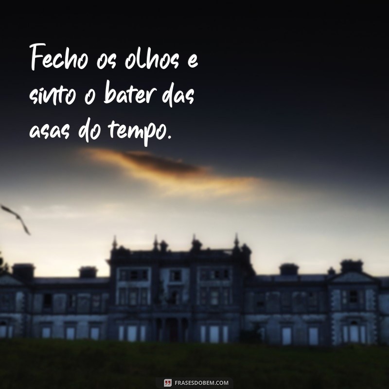 Descubra as melhores frases para fechar os olhos e aproveitar o tempo 